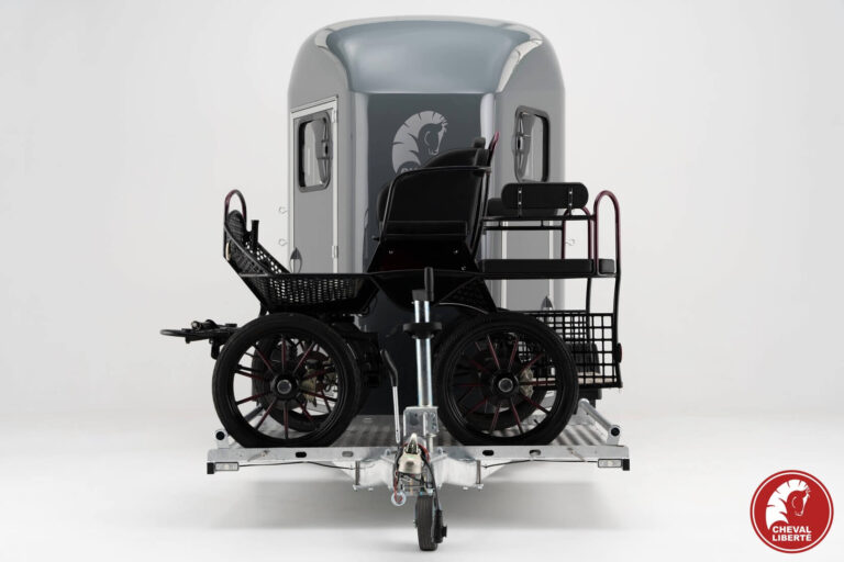 20240220102519-7dbe5603-xx