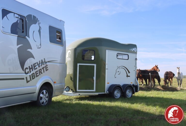 20231023092743-3ca3ccf9-la