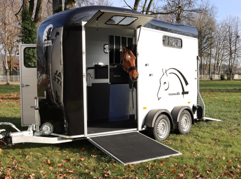 IMG_88418_retouché