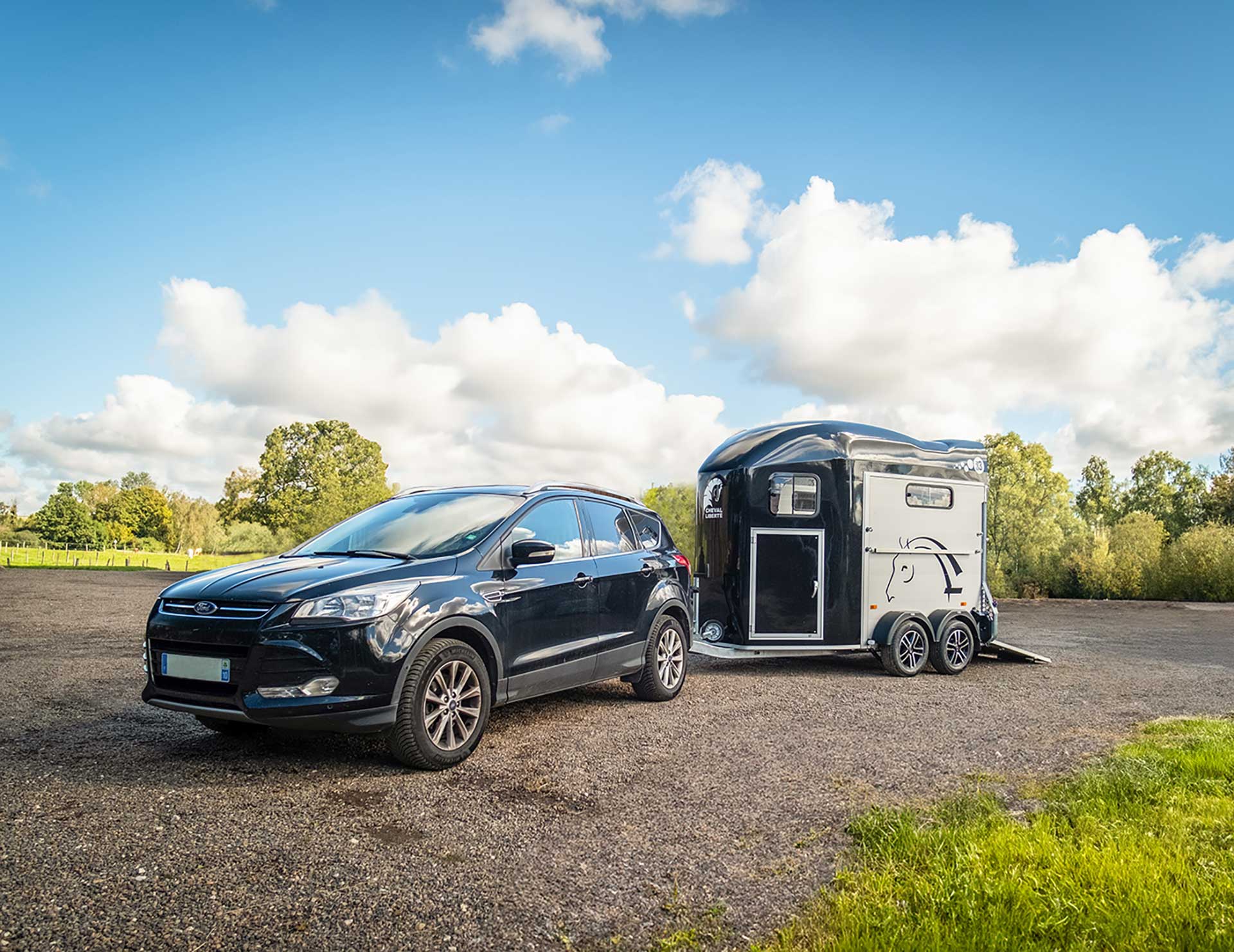 Gold3-Cheval-liberte