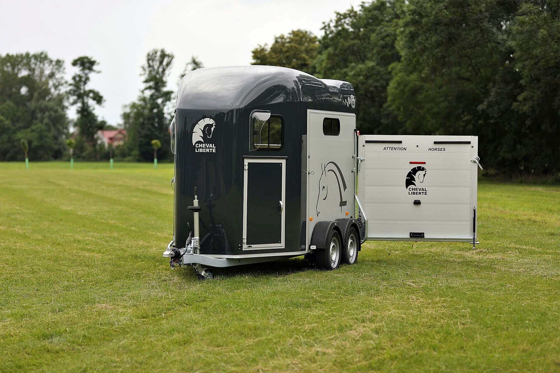 Gold 3 cheval liberte outlet